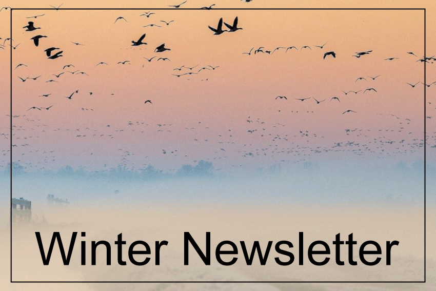 2023 Winter Newsletter article